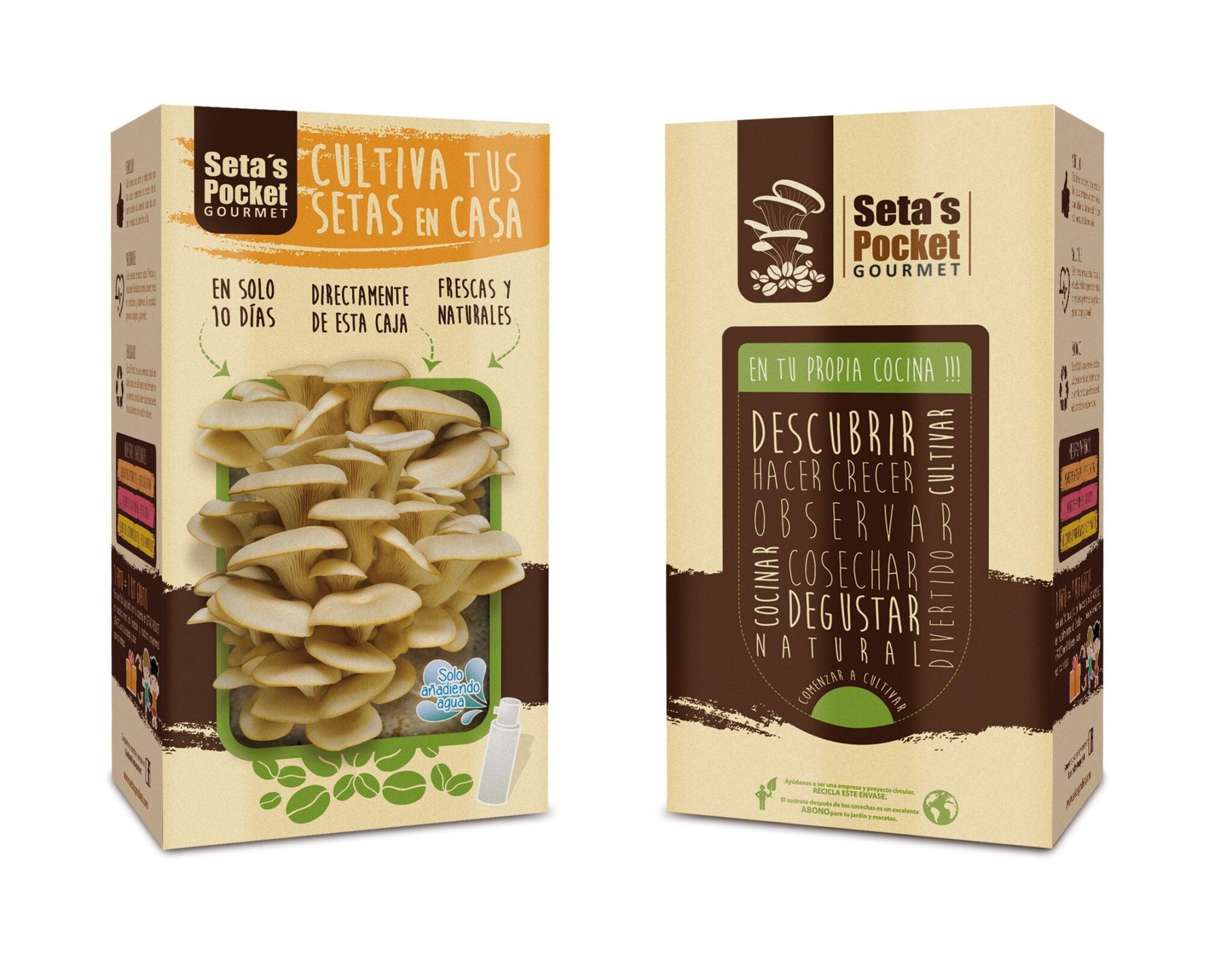 cultivo de setas en casa setas pocket gourmet la experiencia de cultivar cultivo de setas en casa setas pocket gourmet la experiencia de cultivar