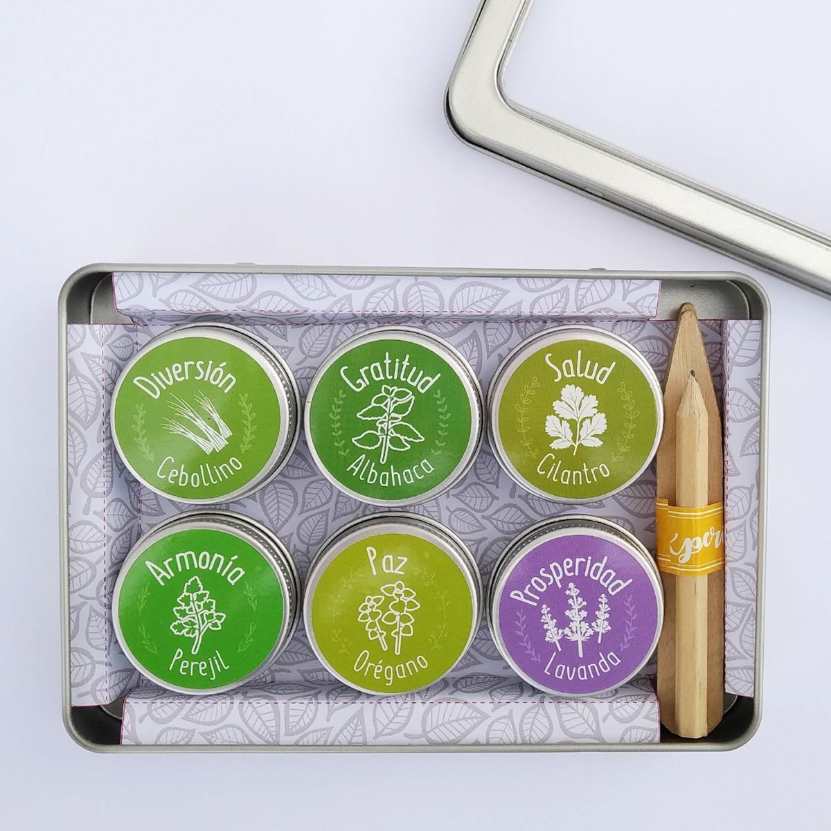 CULTIVANDO DESEOS -Aromáticas | La experiencia de cultivar