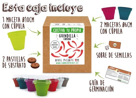 GUINDILLA CAYENA - Imagen 2