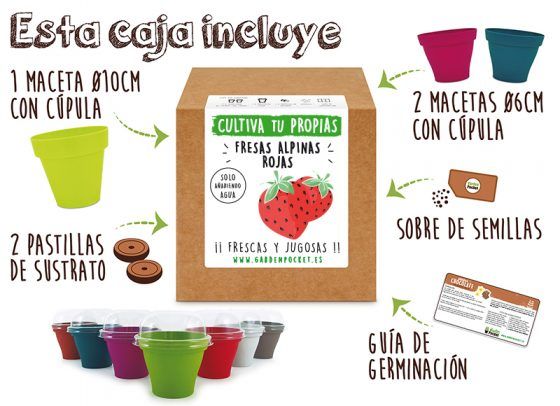 FRESAS ROJAS - Imagen 2