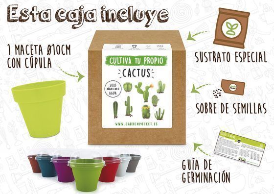 CACTUS - Imagen 2