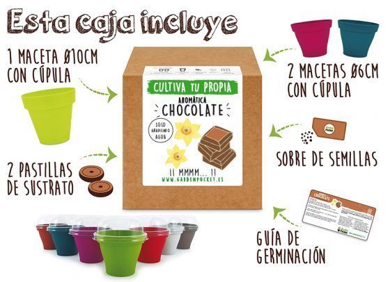 AROMÁTICA CHOCOLATE - Imagen 2