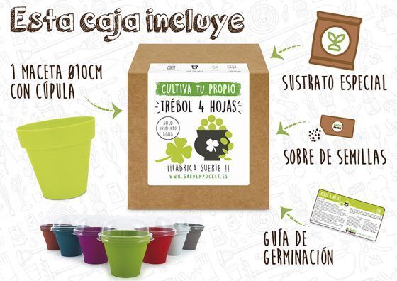 TRÉBOL CUATRO HOJAS BROTES - Imagen 2