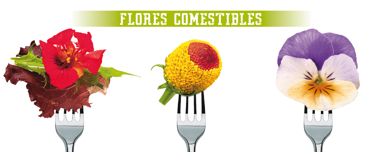 Flores comestibles