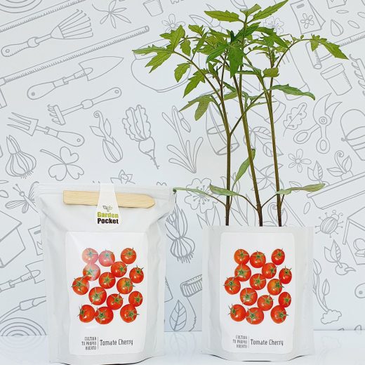 Kit huerto pocket semillas de tomate cherry 2