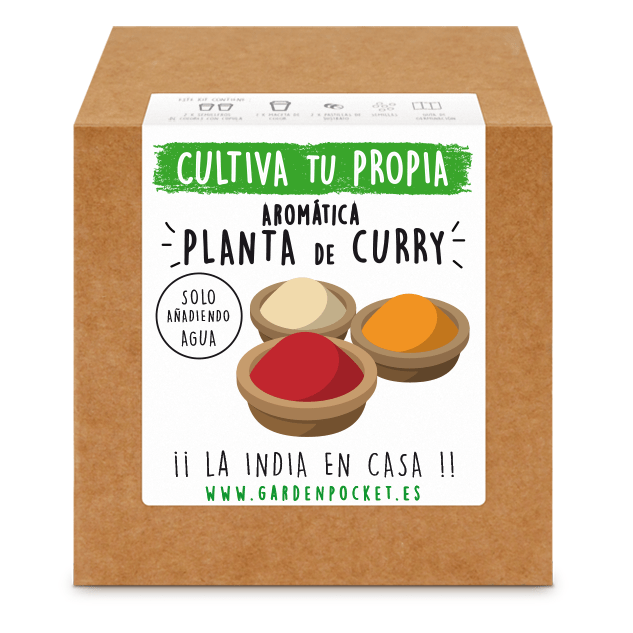 Kit semillas curry
