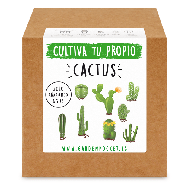 GROW2GO Kit de culture de cactus - Set de plantation de mini-serre