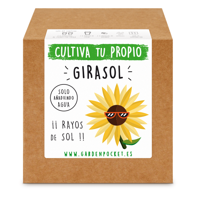 Kit semillas girasol