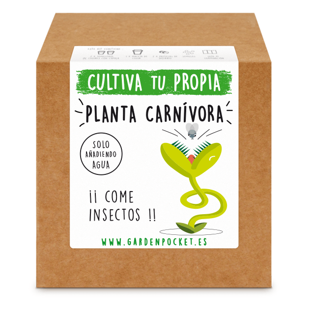 kit semilla planta carnívora venus dionea