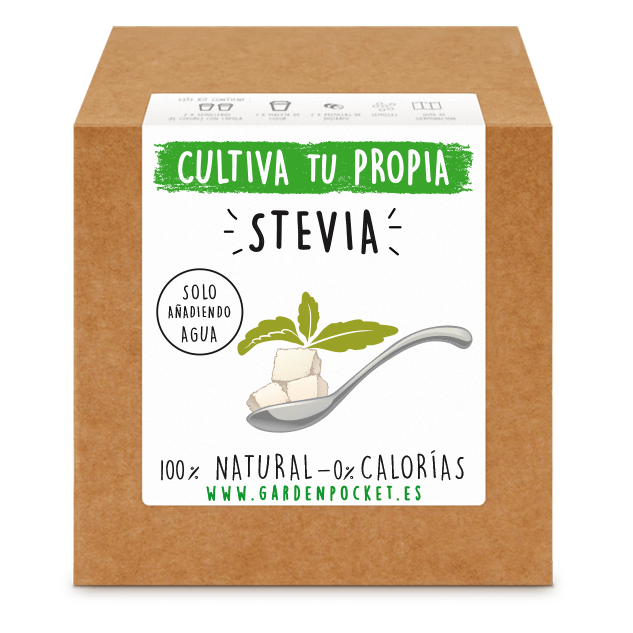 kit semilla stevia