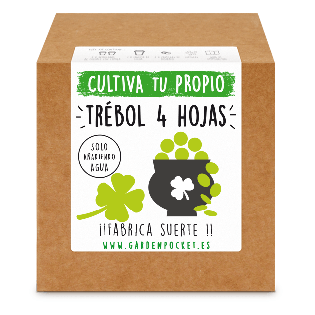 kit semillas trébol cuatro hojas