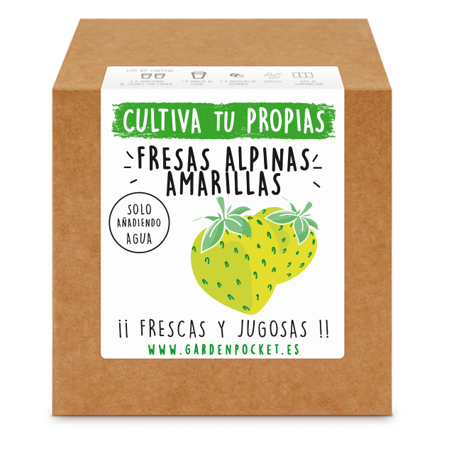 kit semillas fresas amarillas
