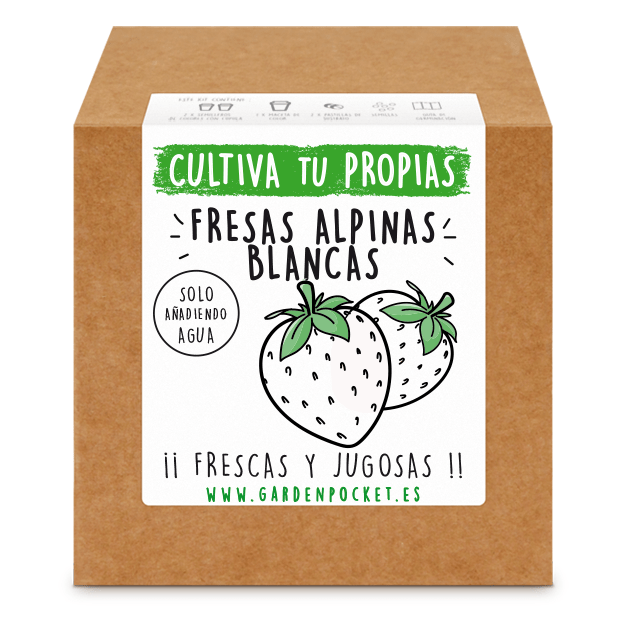 kit semillas fresas blancas