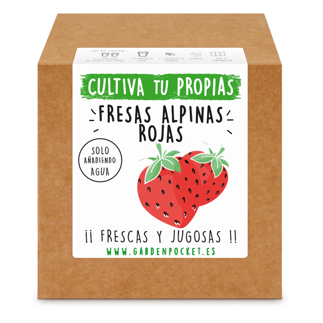 kit semillas fresas rojas