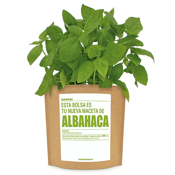 kit-cultivo-de-huerto-urbano-de-semillas-de-albahaca