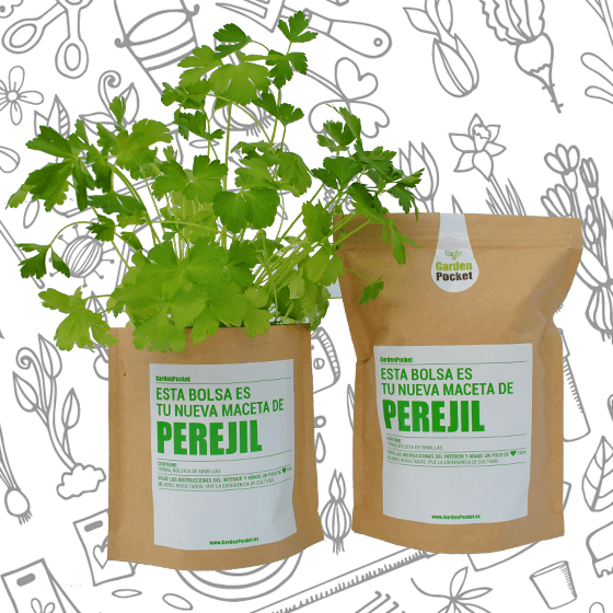 Kit de cultivo de huerto urbano de flores aromáticas con semillas de perejil