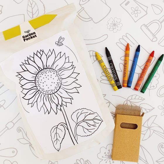 EDUCO GIRASOL - Imagen 2