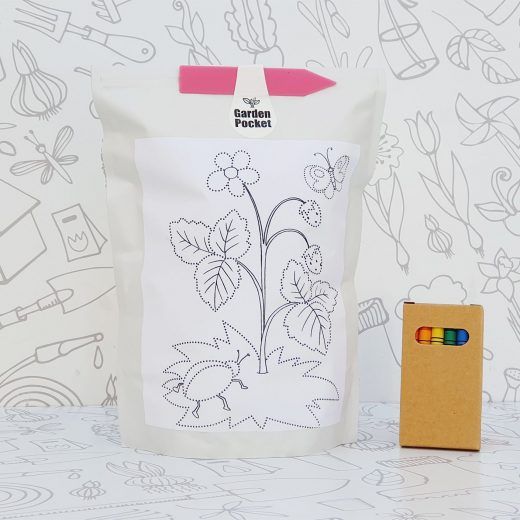 EDUCO FRESAS DEL BOSQUE