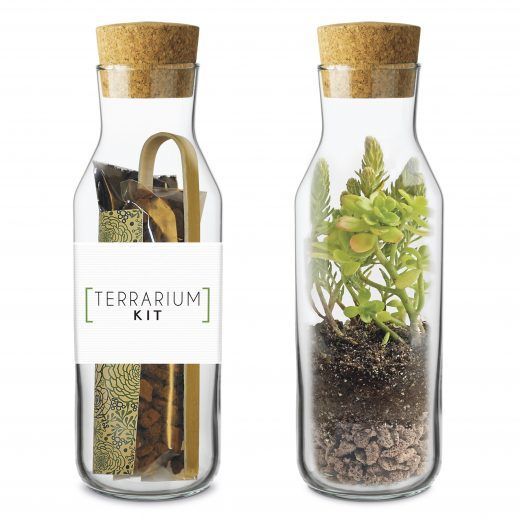 Kit TERRARIUM Vertical