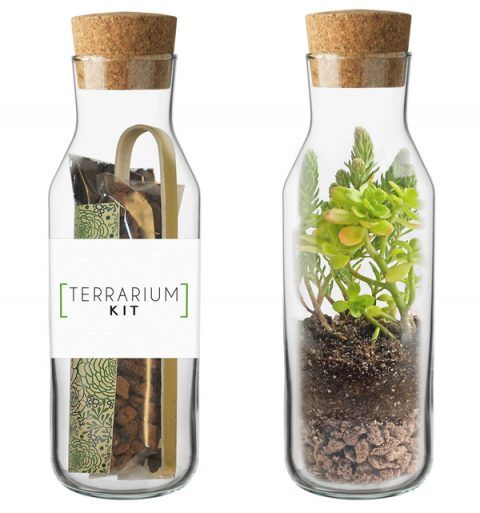 Kit TERRARIUM Vertical | La experiencia de cultivar