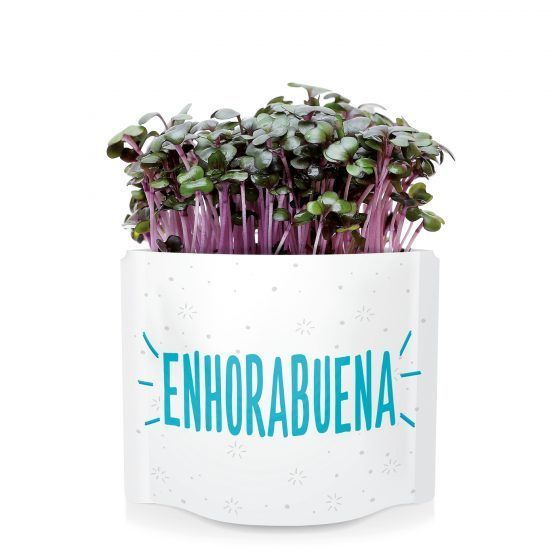 ENHORABUENA - Imagen 3