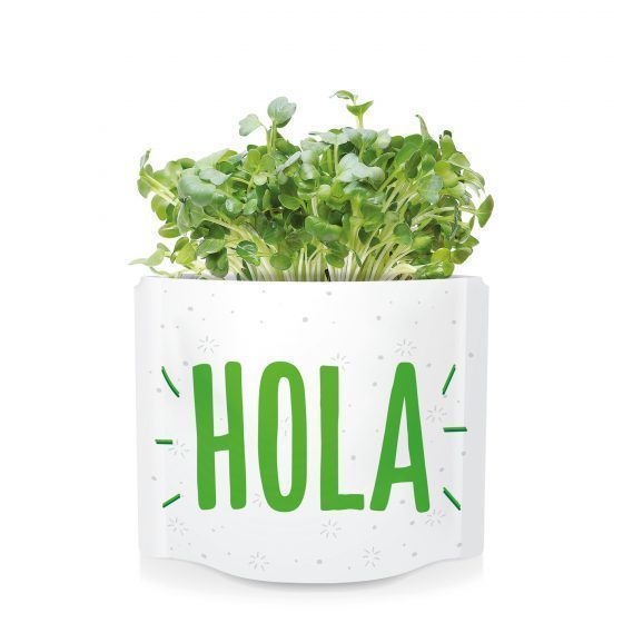 HOLA - Imagen 4