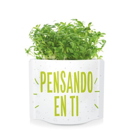 PENSANDO EN TI - Imagen 3
