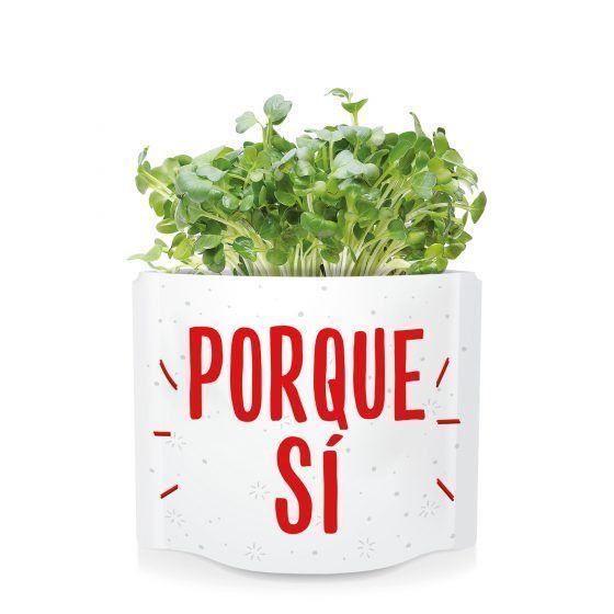 PORQUE SÍ - Imagen 3