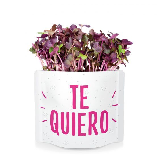 TE QUIERO - Imagen 3