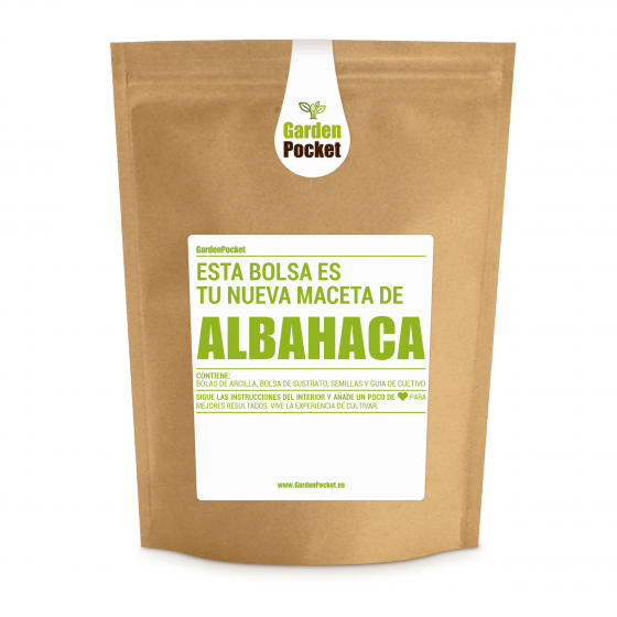 kit-cultivo-de-huerto-urbano-de-semillas-de-albahaca