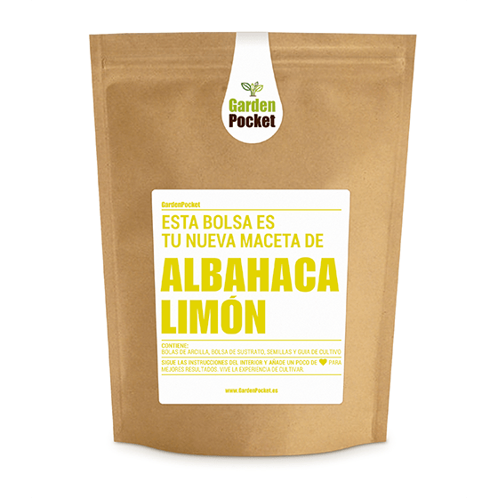 kit-cultivo-de-huerto-urbano-de-semillas-de-albahaca limon