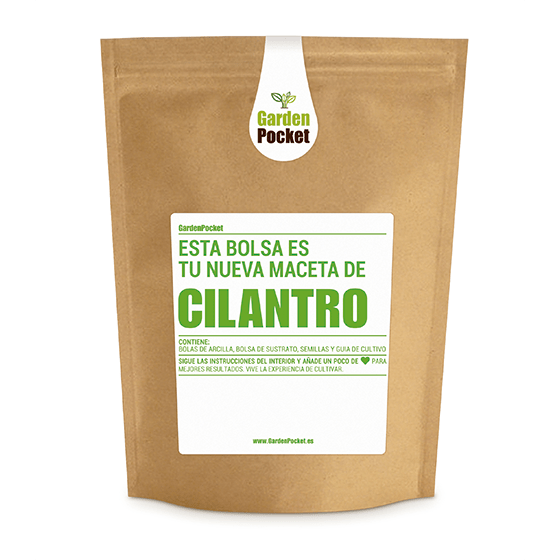 kit-cultivo-de-huerto-urbano-de-semillas-de-cilantro