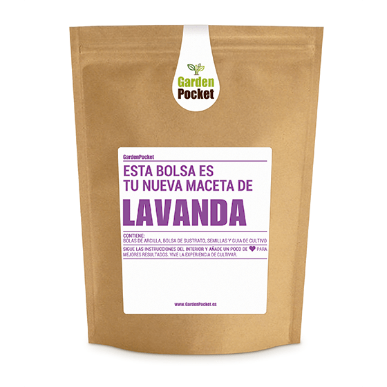 kit-cultivo-de-huerto-urbano-de-semillas-de-lavanda