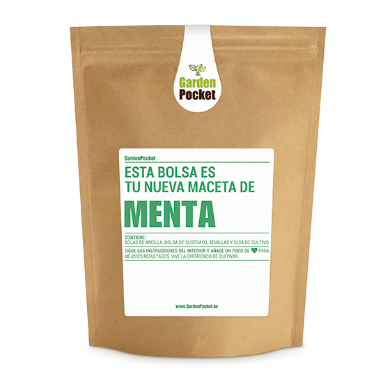 kit-cultivo-de-huerto-urbano-de-semillas-de-menta