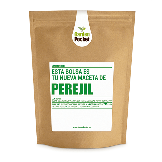 kit-cultivo-de-huerto-urbano-de-semillas-de-perejil