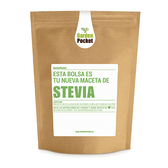 kit-cultivo-de-huerto-urbano-de-semillas-de-stevia