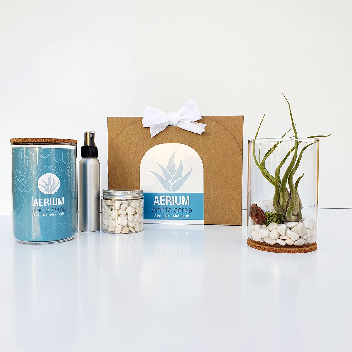KIT REGALO AERIUM