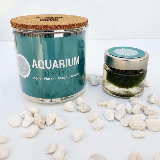 AQUARIUM - Imagen 6