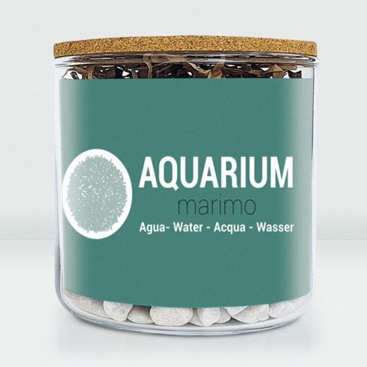 AQUARIUM