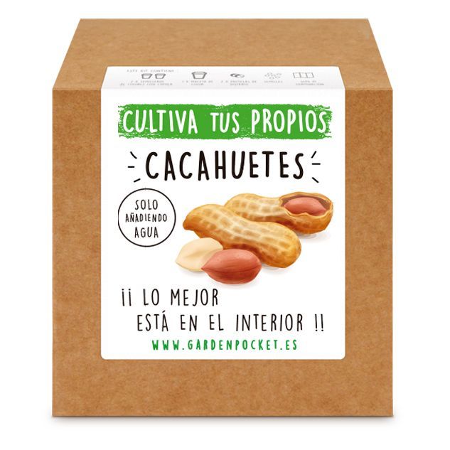 Kit-semillas-de-cacahuetes