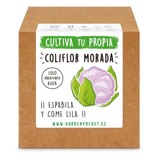 Kit-semillas-de-coliflor-morada