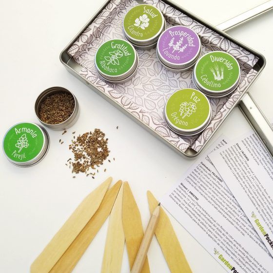 CULTIVANDO DESEOS -Aromáticas | La experiencia de cultivar