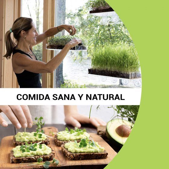 MICROVEGETALES - SMALL - Imagen 7