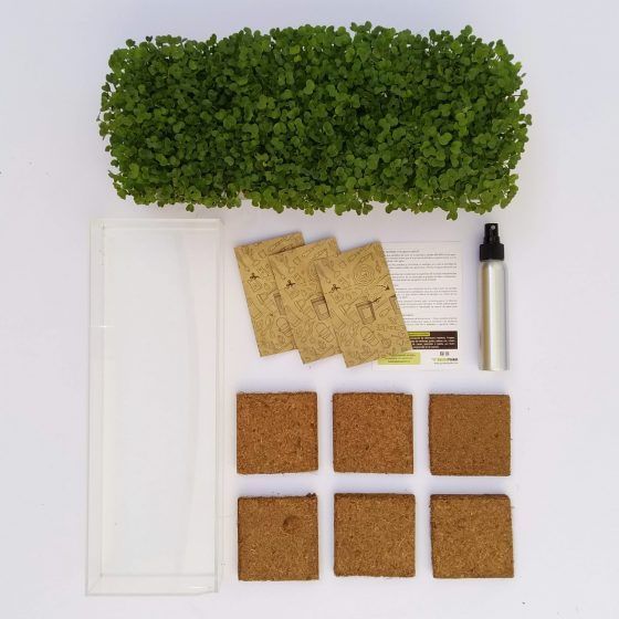 Microvegetales kit