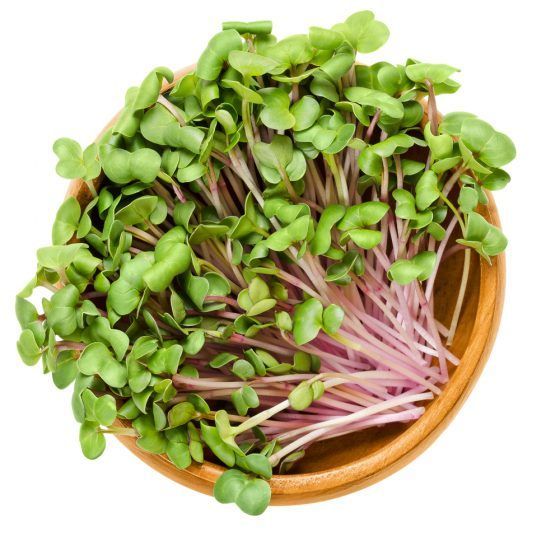 MICROVEGETALES - SMALL - Imagen 12