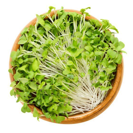 MICROVEGETALES - SMALL - Imagen 11