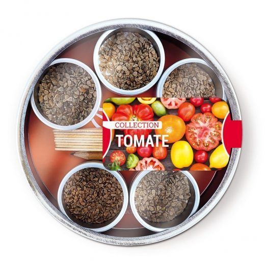 TOMATE´S COLLECTION