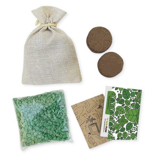 Semillas-Albahaca-_contenido-kit-de-cultivo-scaled