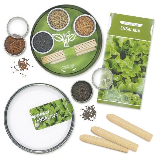 KIT CULTIVO ENSALADA