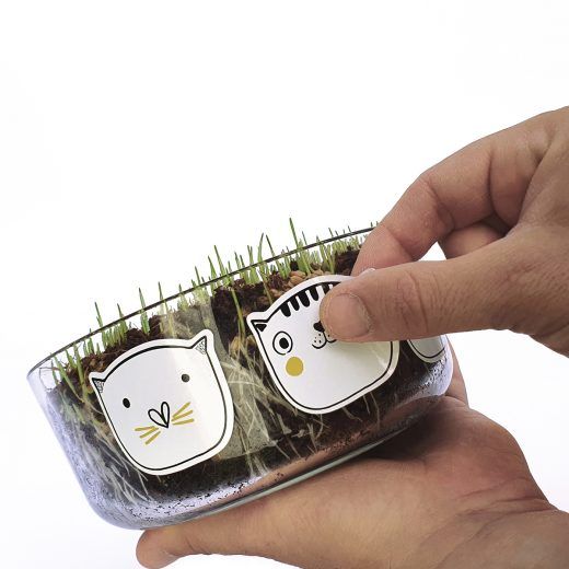 GP-HG-001 Garden Pocket - Hierba para gatos 10